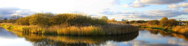 Amager Panorama