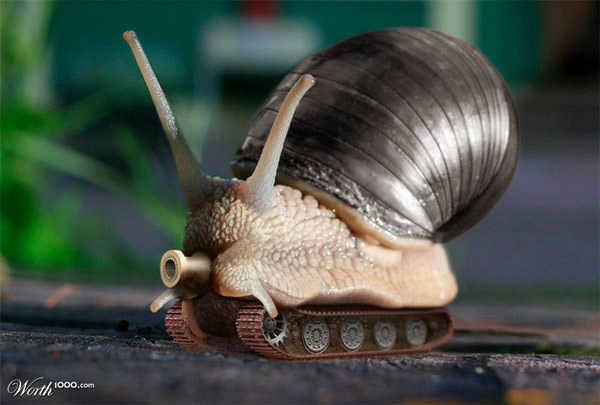 battle snail