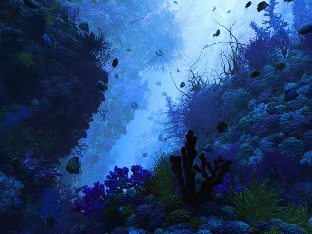 underwater wallpapers