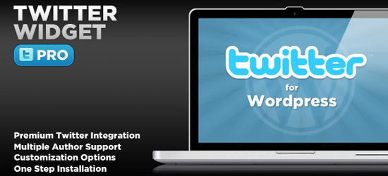 深入了解:高级WordPress插件 深入了解:高级WordPress插件