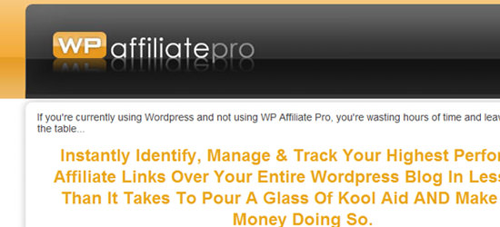 深入了解:高级WordPress插件 深入了解:高级WordPress插件