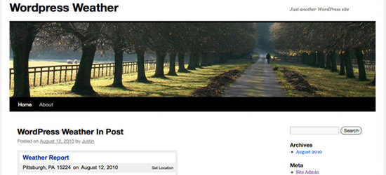 深入了解:高级WordPress插件 深入了解:高级WordPress插件