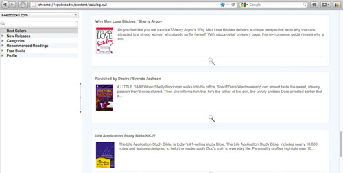 epub viewer chrome