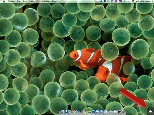 Mac Desktop on iPad