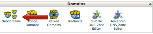 Subdomain creation button in cPanel