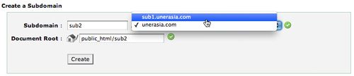 Form for creating a sub-subdomain