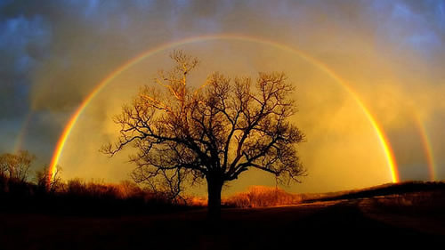 Rainbow photography