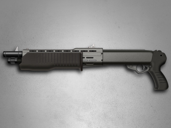 Spas-12