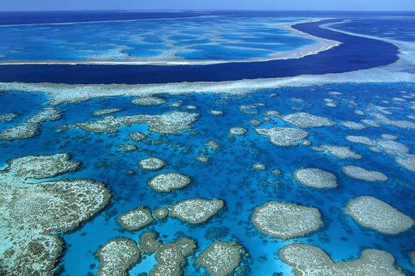 Great Barreir Reef