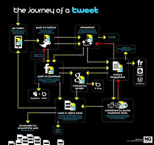 social media infographics