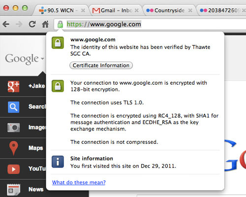 Google Chrome HTTPS Padlock icon for Google homepage