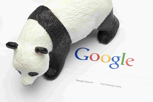 google panda