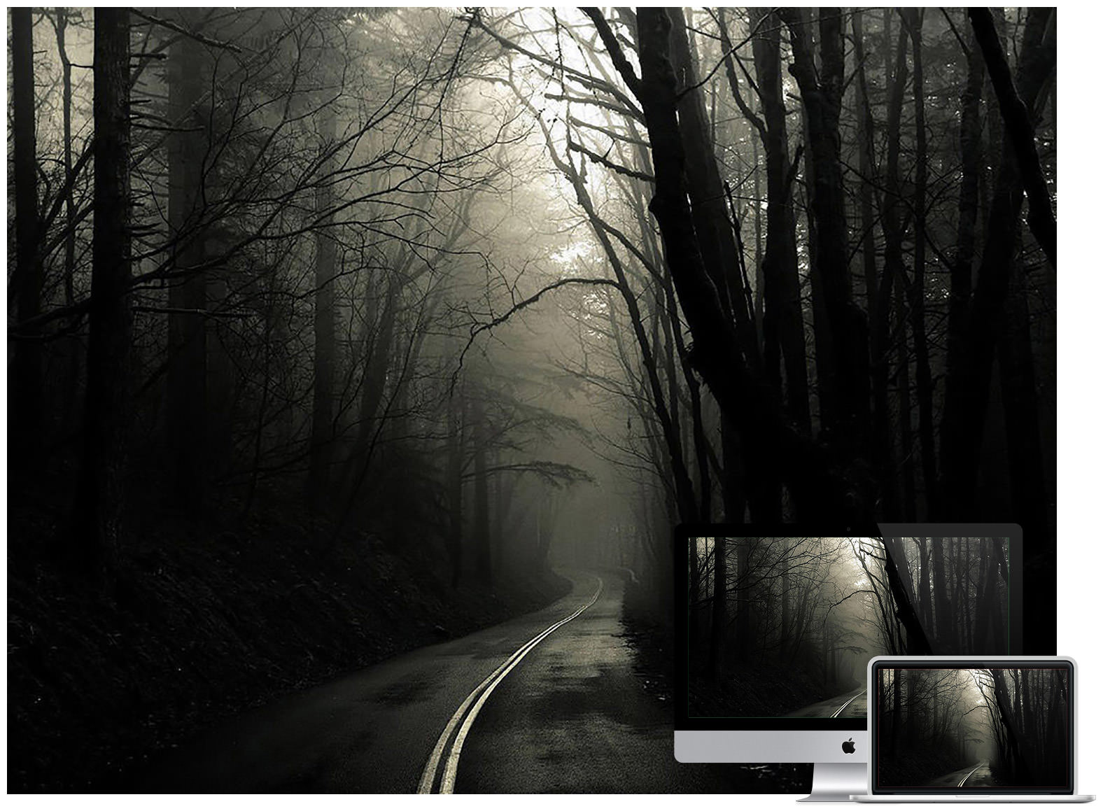 black-and-white-laptop-wallpaper-forest-shardiff-world