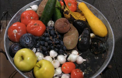 Fruit and Vegetable Decomposition