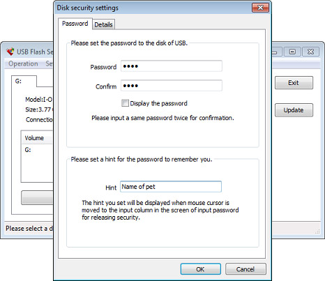 USB Flash Security