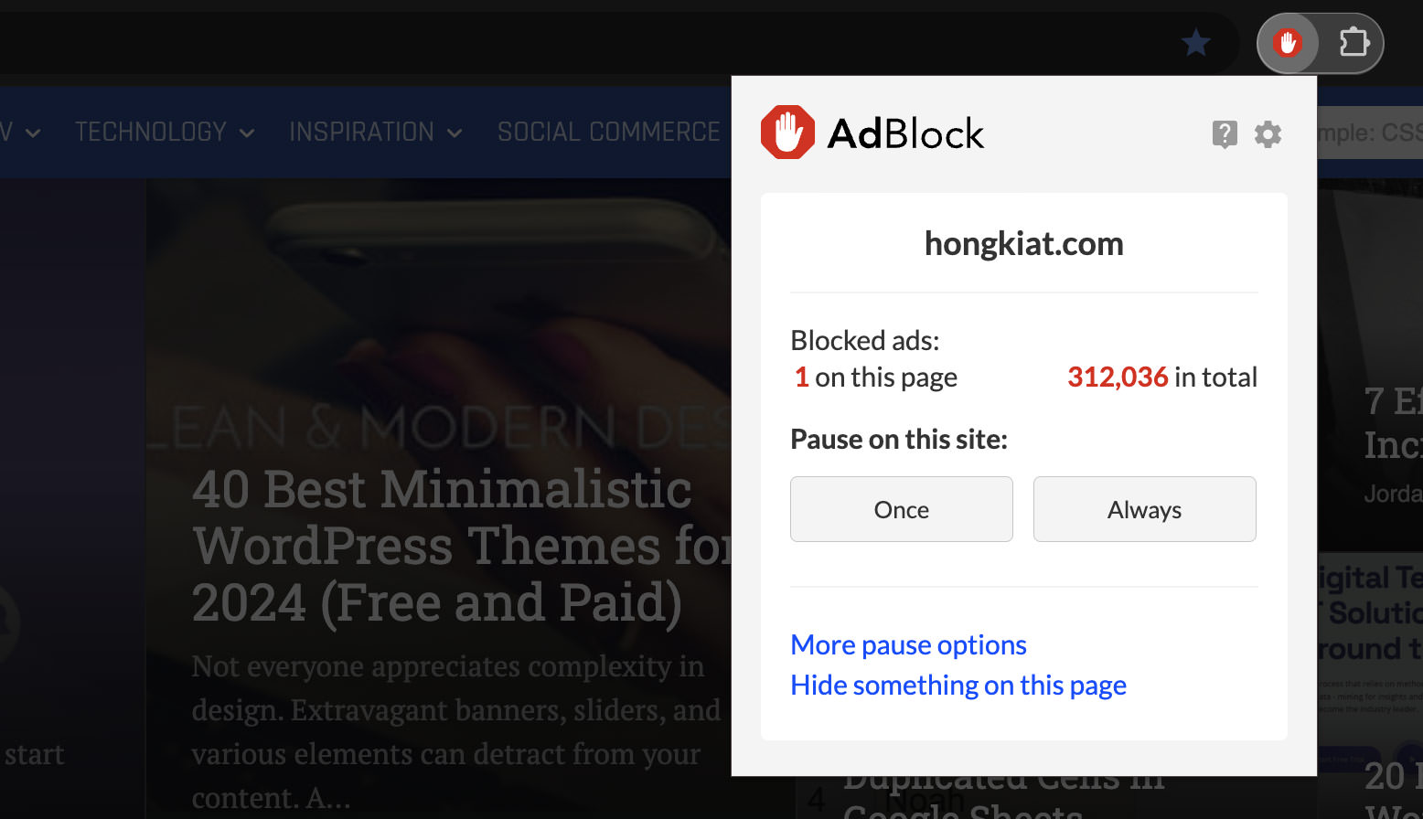 Adblock Extension Interface