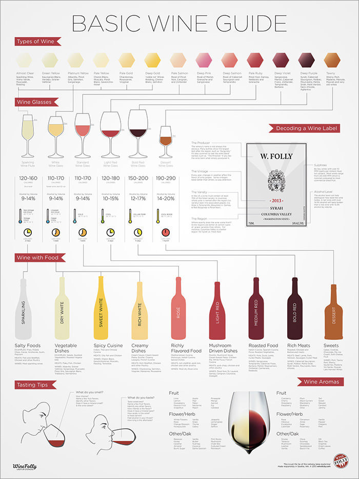 Types of Wine Glasses (Infographic) for Beginners