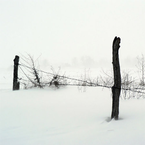 winter photography