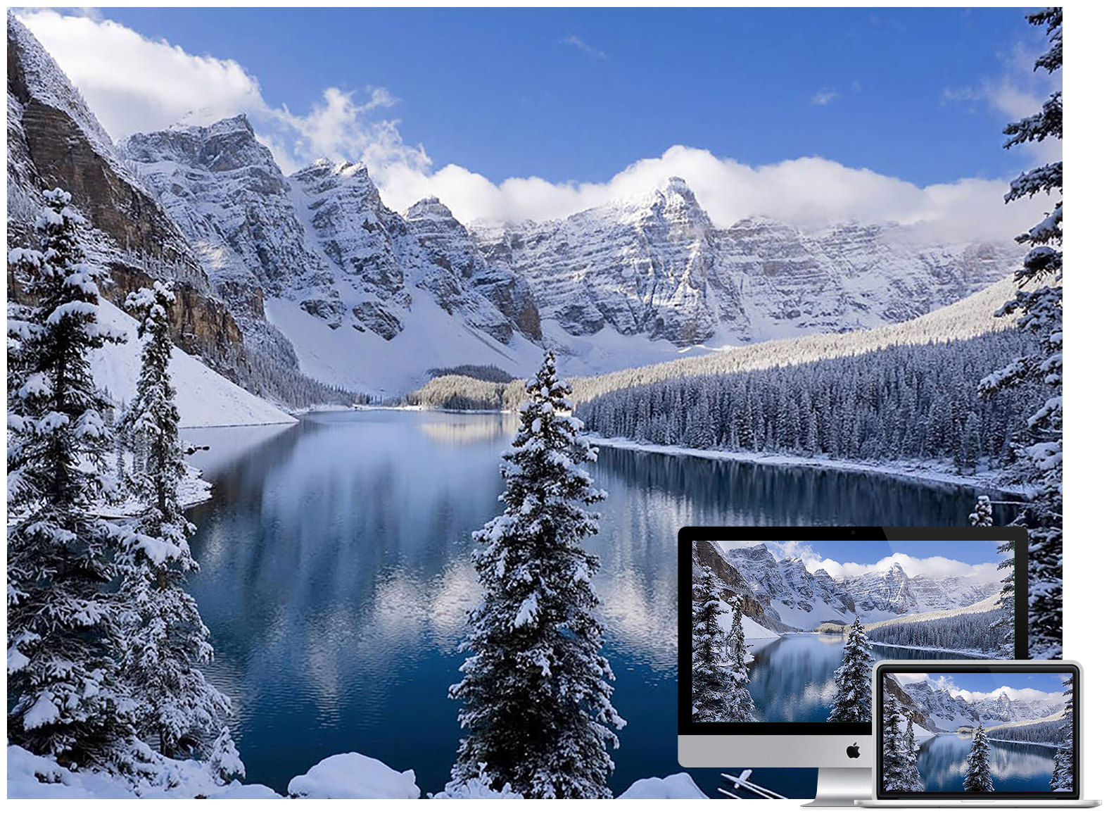 Snow on Mountains and Trees